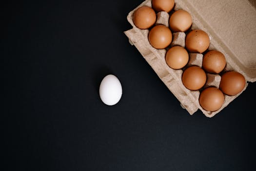 image of affordable protein sources